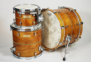 Canarywood Steambent Kit